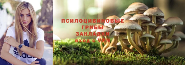 мяу мяу мука Алексин