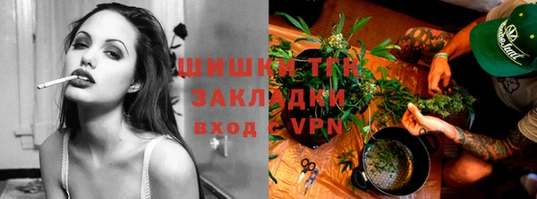 ПСИЛОЦИБИНОВЫЕ ГРИБЫ Алексеевка